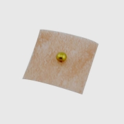 Preview: Magnet-Ohrsamen Synergi gold 100 Stück